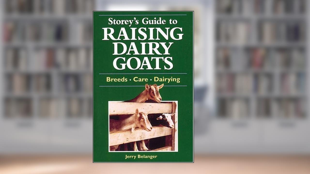 Storey's Guide to Raising Dairy Goats: Breeds, Care, Dairying, written by Jerry Belanger