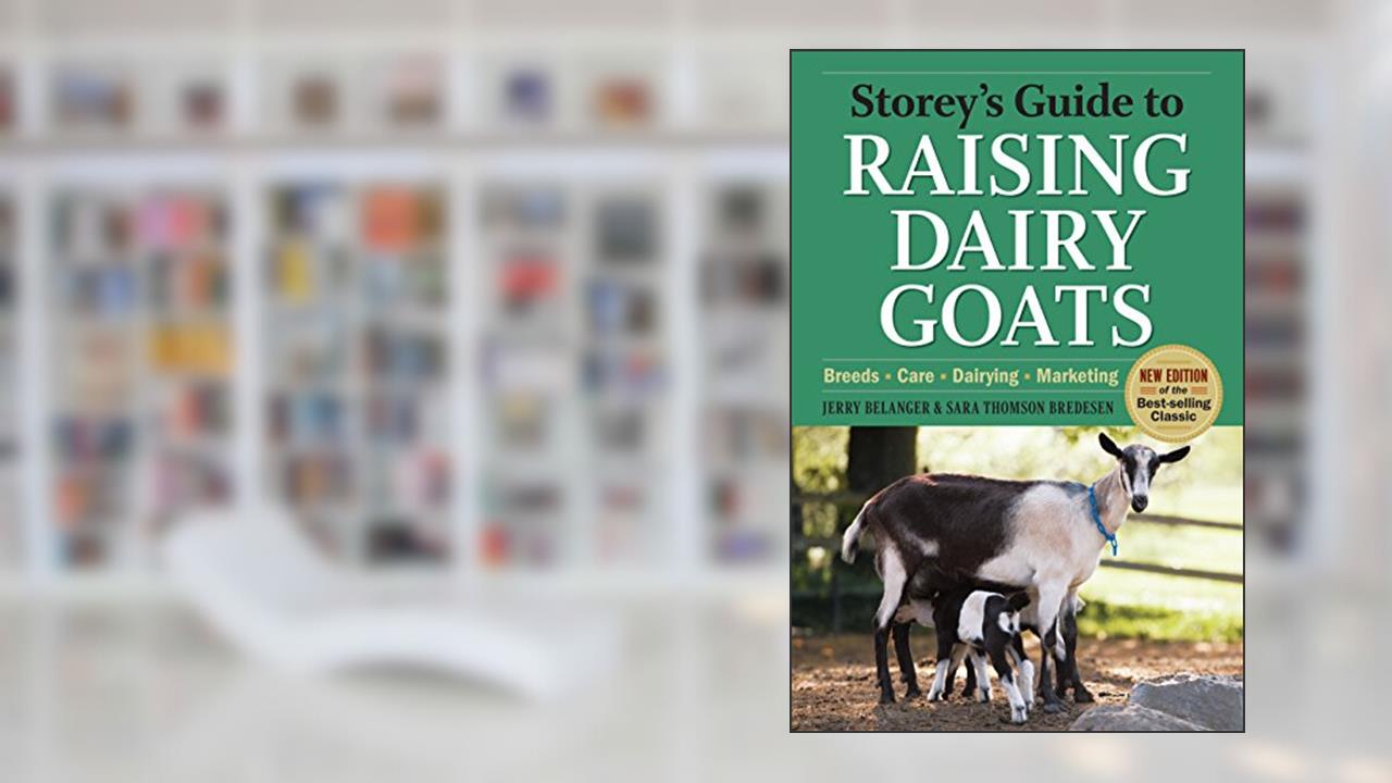 Storey's Guide to Raising Dairy Goats, 4th Edition: Breeds, Care, Dairying, Marketing, written by Jerry Belanger; Sara Thomson Bredesen