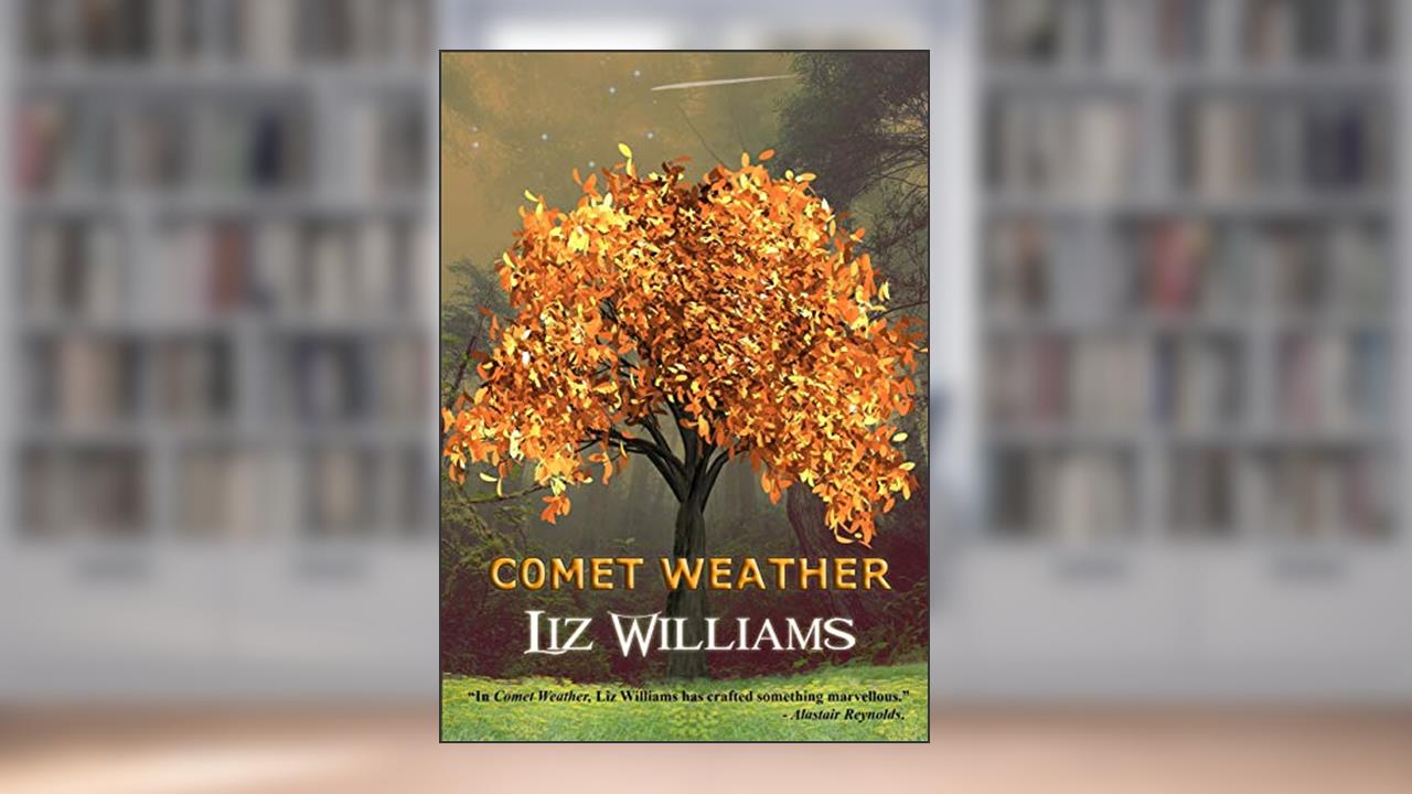 Comet Weather, written by Liz Williams