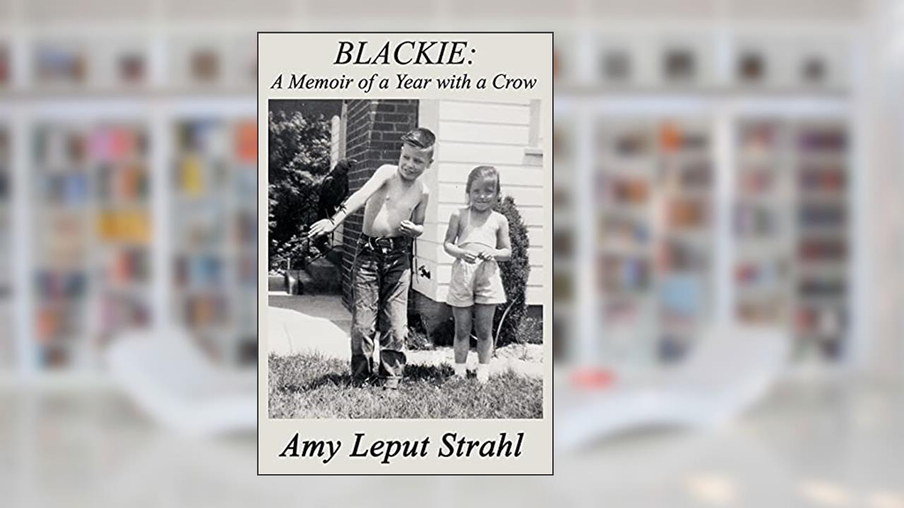 Blackie: A Memoir of a Year with a Crow, written by Amy Strahl