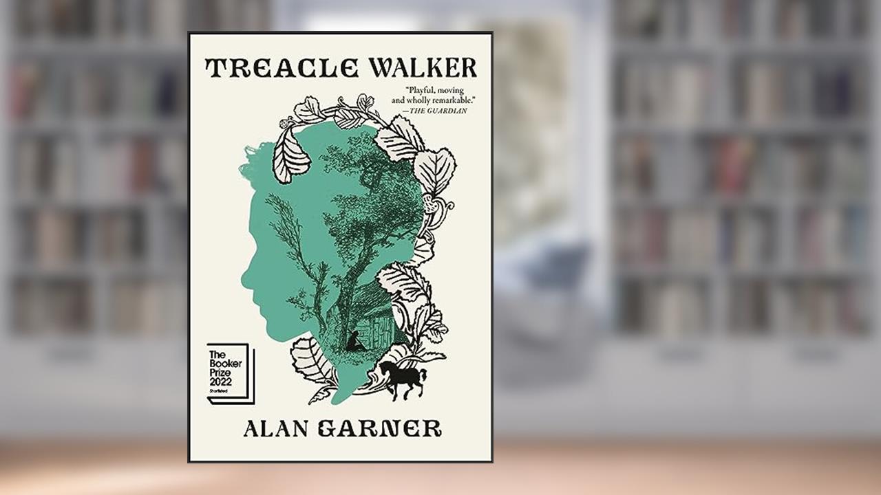 Treacle Walker, written by Alan Garner