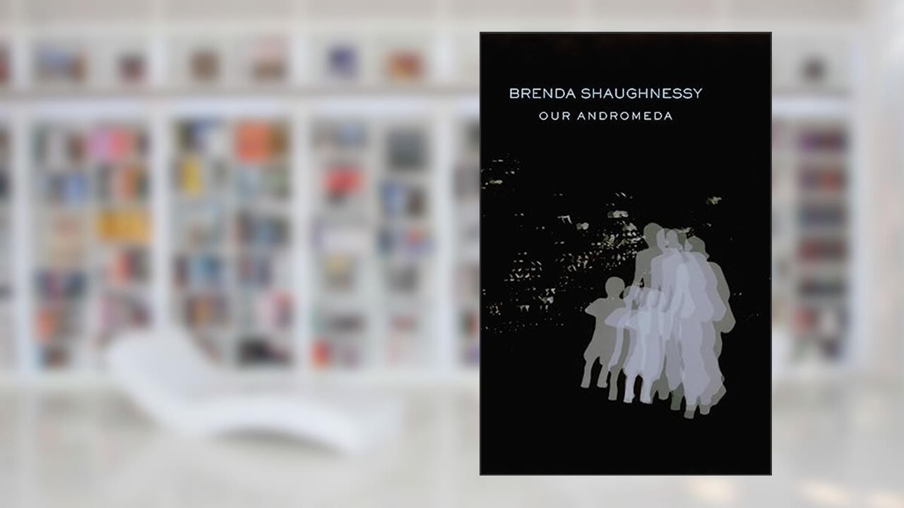 Our Andromeda, written by Brenda Shaughnessy