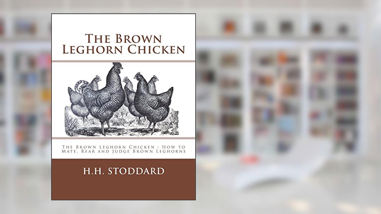The Brown Leghorn Chicken: The Brown Leghorn Chicken : How to Mate, Rear and Judge Brown Leghorns, written by H. H. Stoddard