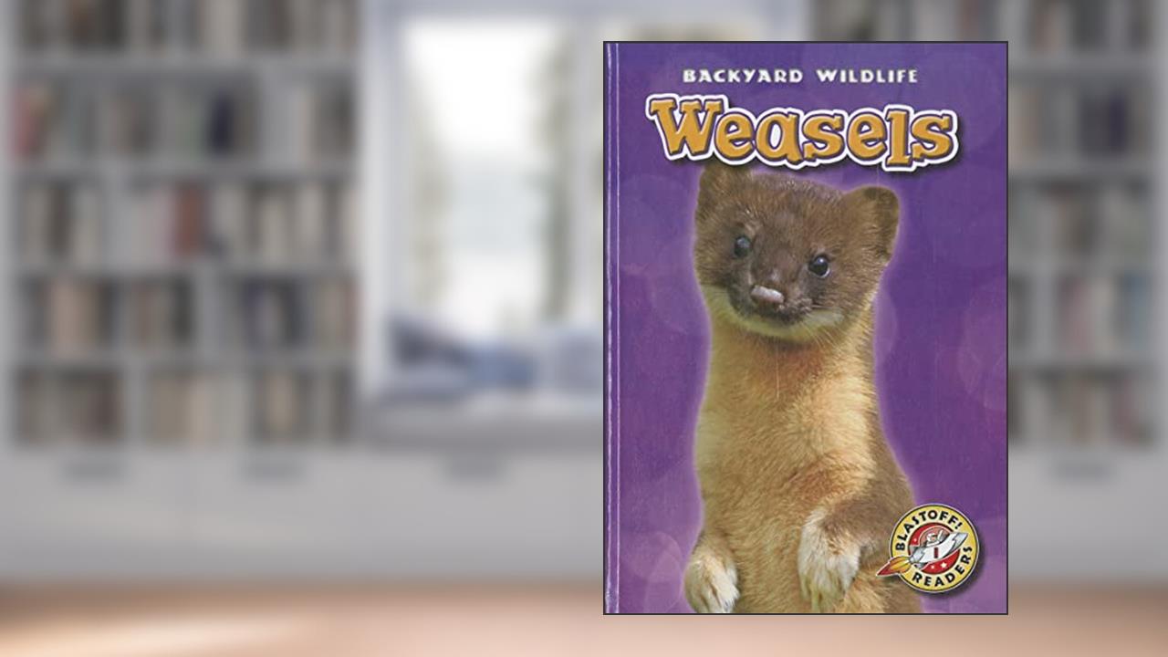 Weasels (Blastoff! Readers: Backyard Wildlife), written by Megan Borgert-Spaniol