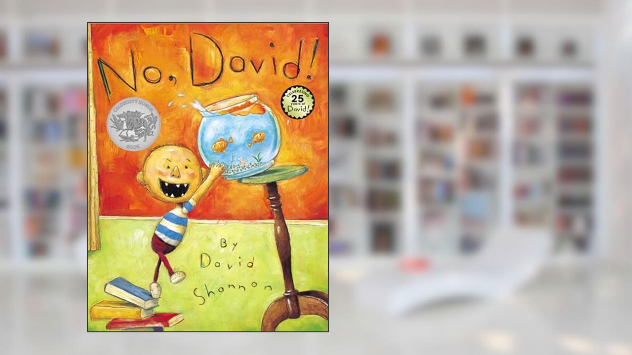 No, David!, written by David Shannon