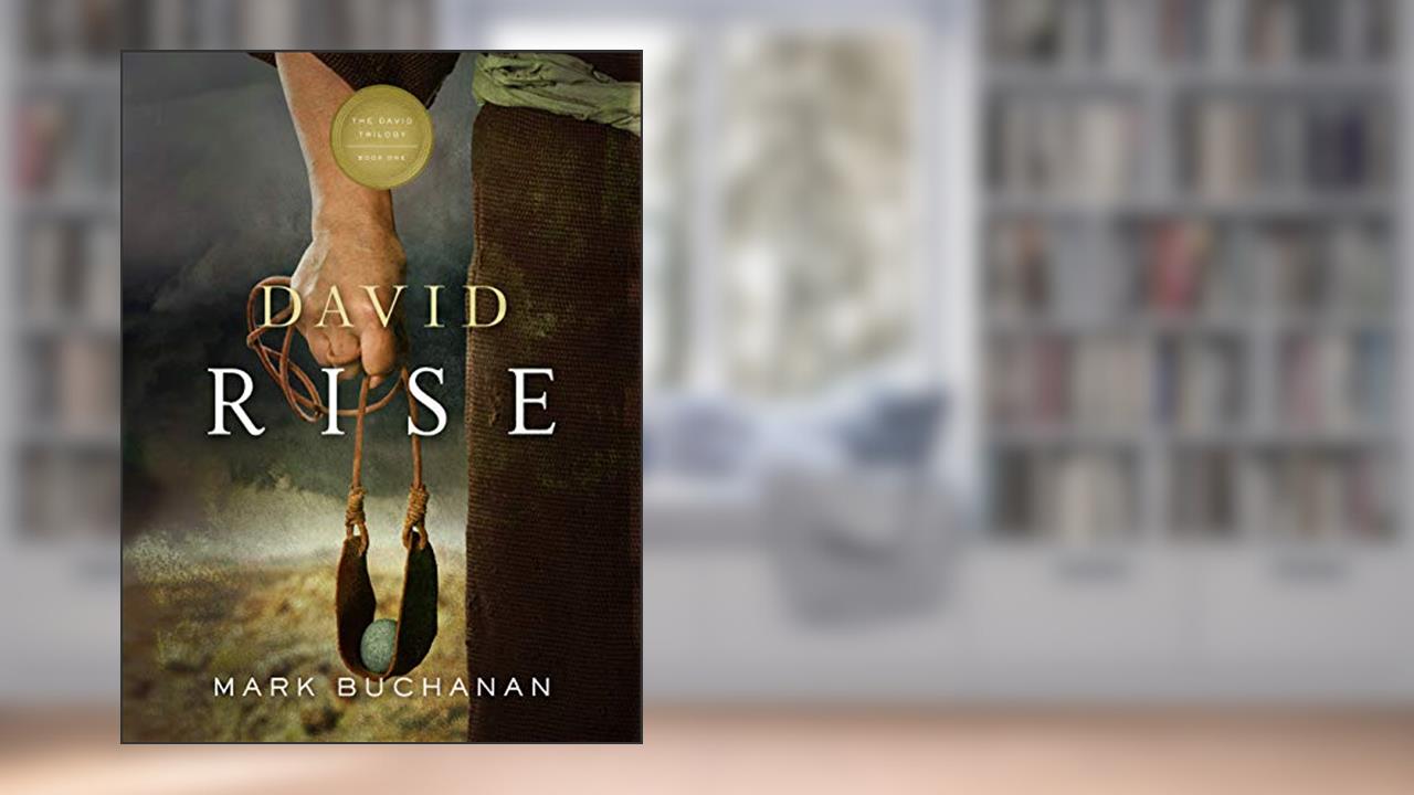 David: Rise (The David Trilogy Book 1), written by Mark Buchanan