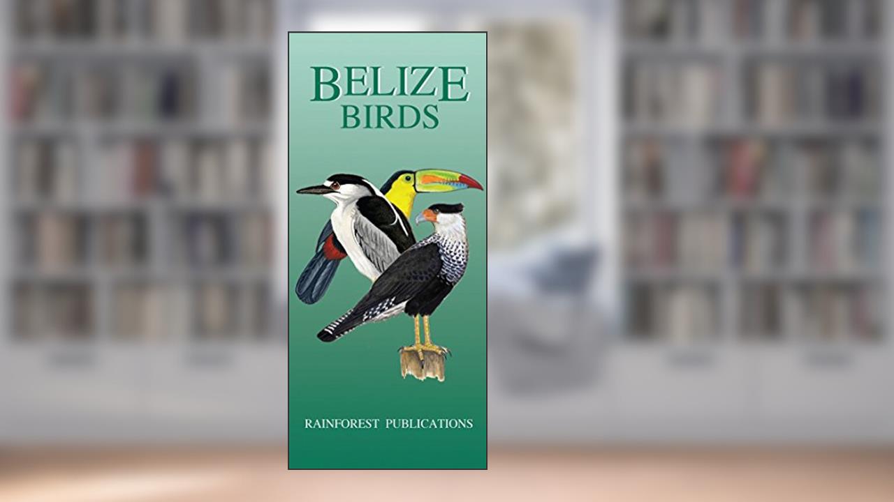 Belize Bird Guide (Laminated Foldout Pocket Field Guide) (English and Spanish Edition), written by Rainforest Publications