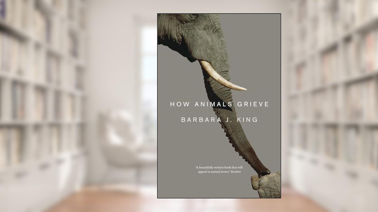 How Animals Grieve, written by Barbara J. King