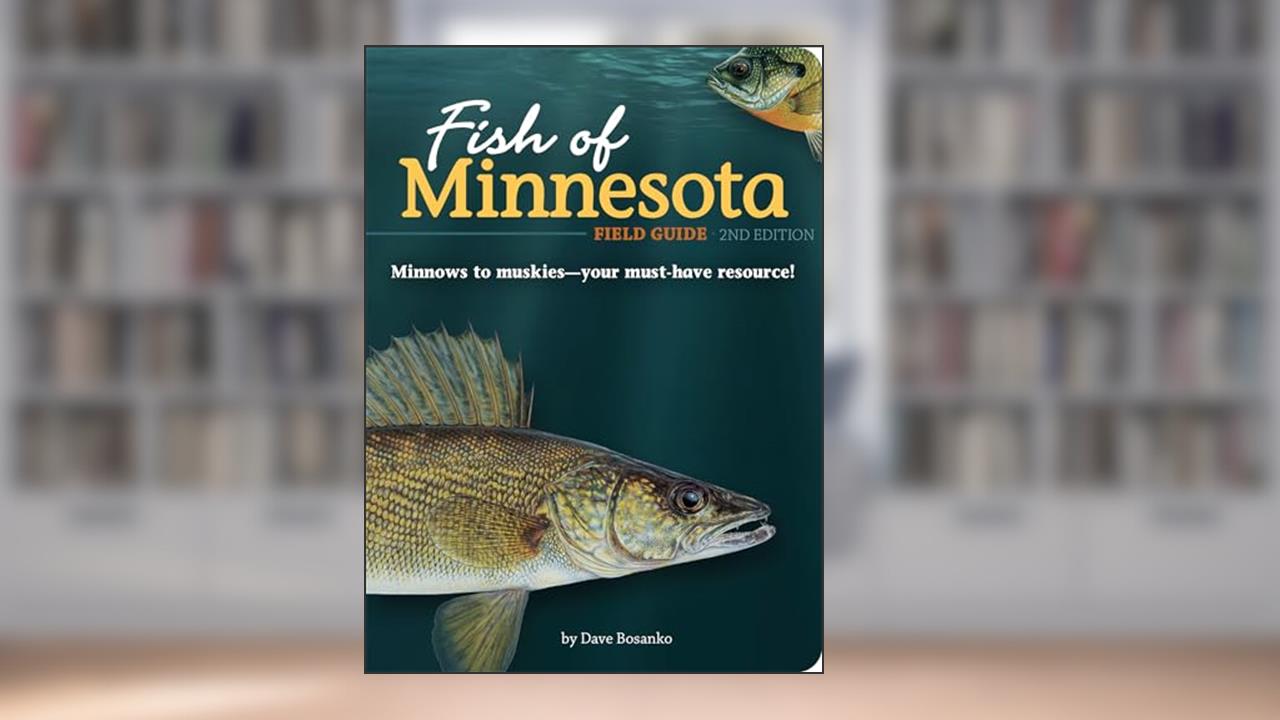 Fish of Minnesota Field Guide (Fish Identification Guides), written by Dave Bosanko