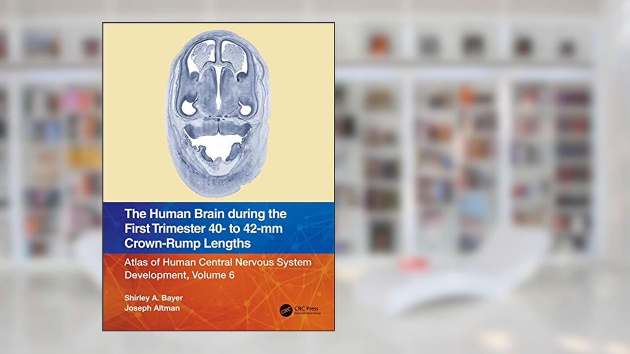 The Human Brain during the First Trimester 40- to 42-mm Crown-Rump Lengths, written by Shirley A. Bayer; Joseph Altman