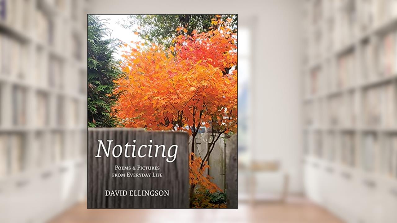 Noticing: Poems and Pictures from Everyday Life, written by David Ellingson