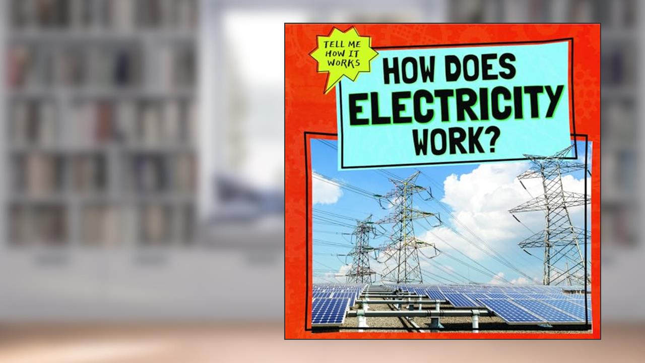 How Does Electricity Work? (Tell Me How It Works), written by Phil Corso