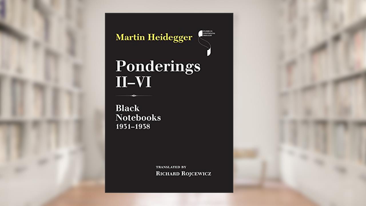 Ponderings II-VI: Black Notebooks 1931-1938 (Studies in Continental Thought), written by Martin Heidegger