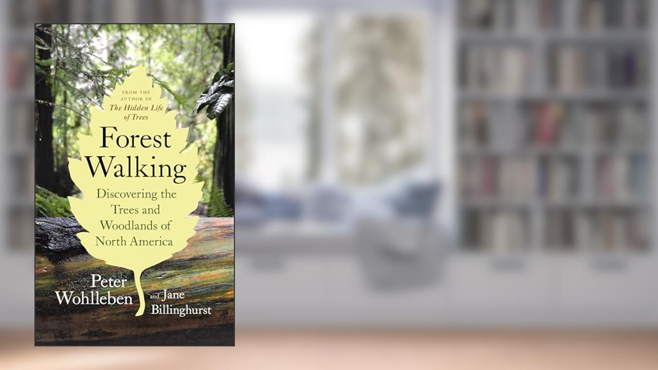 Forest Walking: Discovering the Trees and Woodlands of North America, written by Peter Wohlleben; Jane Billinghurst