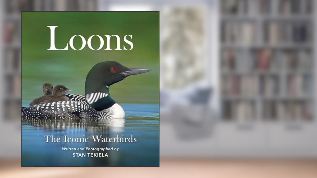 Loons: The Iconic Waterbirds (Favorite Wildlife), written by Stan Tekiela