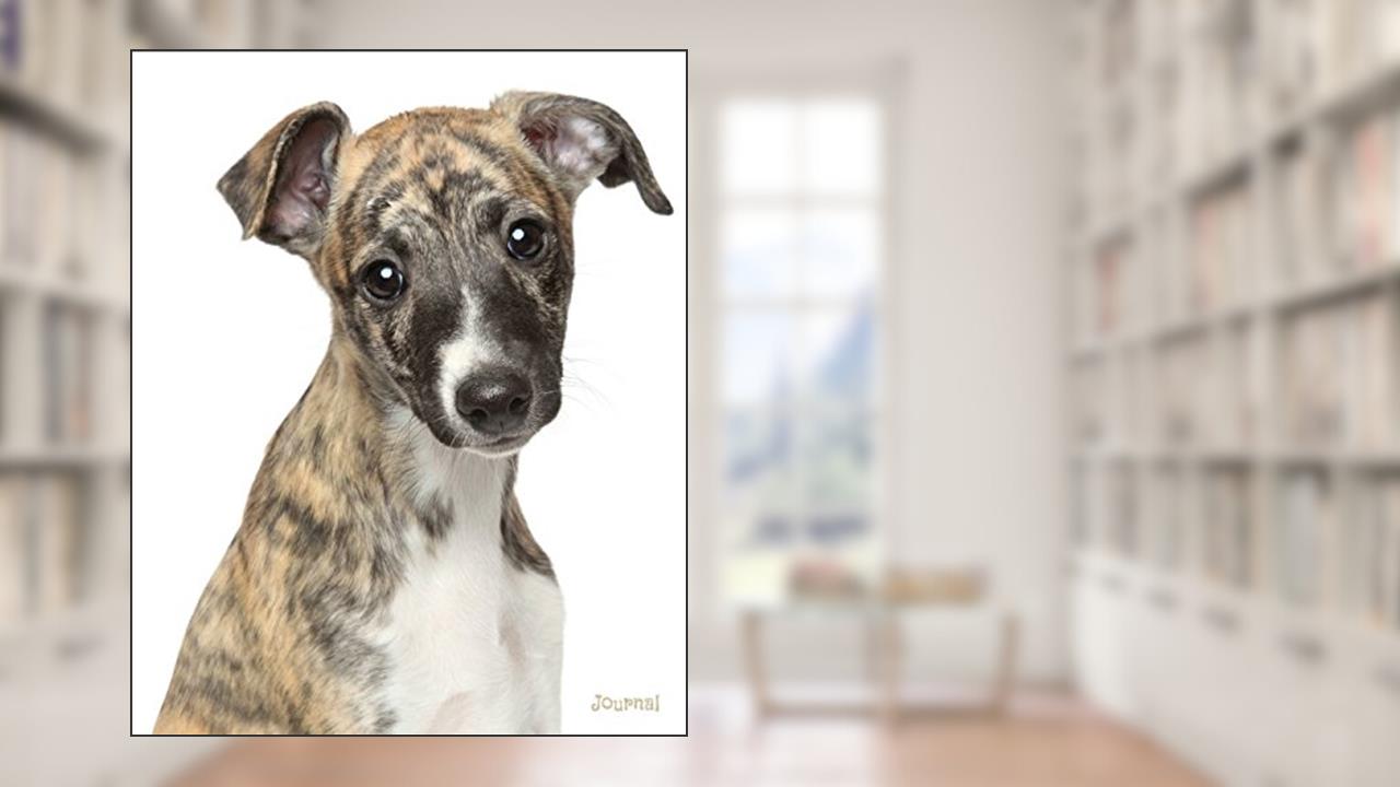 Journal: Brindle Whippet Puppy, written by Dreamflight Publications
