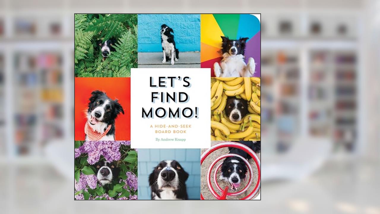 Let's Find Momo!: A Hide-and-Seek Board Book, written by Andrew Knapp