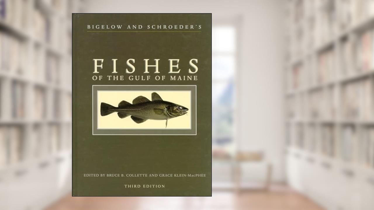 Bigelow and Schroeder's Fishes of the Gulf of Maine, Third Edition, written by Bruce B. Collette; Grace Klein-Macphee