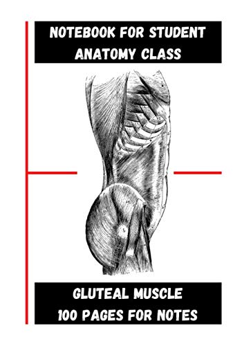Read NOTEBOOK FOR STUDENT - ANATOMY CLASS: THE GLUTEAL MUSCLE, written by EDITIONS N.W.O. Y & F