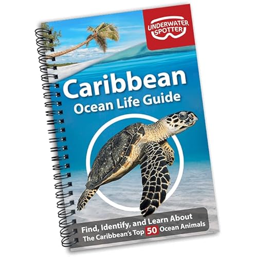 Read Caribbean Ocean Life Guide - Fish Identification Book for Beginners | 50 Species & Marine Animals Scavenger Hunt for Divers, Snorkelers & Kids, written by Shelby Drake