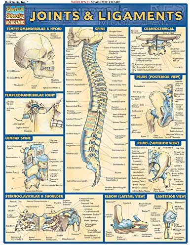 Read Joints & Ligaments QuickStudy Laminated Reference Chartce (QuickStudy Academic), written by Vincent Perez