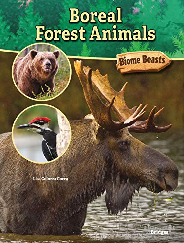 Read Rourke Educational Media Bridges Boreal Forest Animals (Biome Beasts), written by Lisa Colozza Cocca
