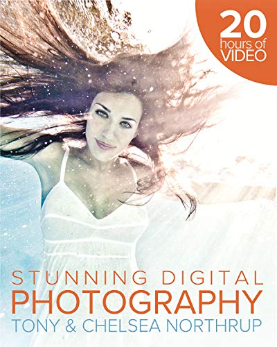 Read Stunning Digital Photography, written by Tony Northrup; Chelsea Northrup