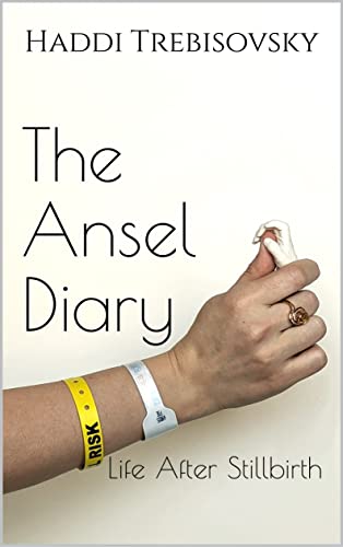 Read The Ansel Diary: Life After Stillbirth (The Ansel Diary Collection), written by Haddi Trebisovsky