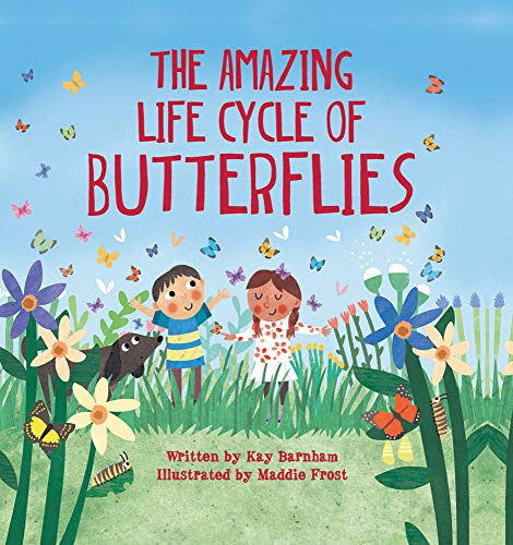 Read The Amazing Life Cycle of Butterflies (Look and Wonder), written by Kay Barnham; Maddie Frost