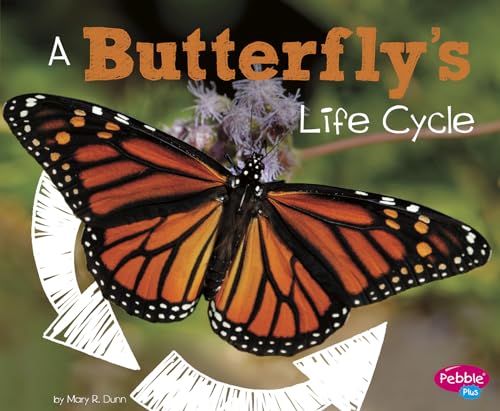 Read A Butterfly's Life Cycle (Explore Life Cycles), written by Mary R. Dunn Read A Butterfly's Life Cycle (Explore Life Cycles), written by Mary R. Dunn