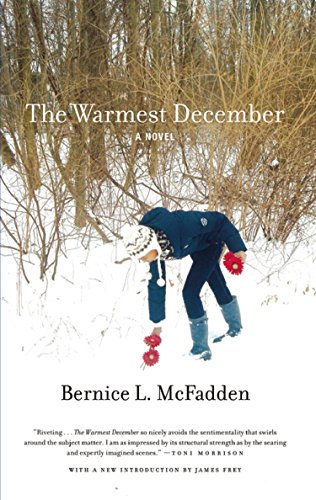 Read The Warmest December, written by Bernice L. McFadden