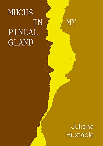 Read Mucus in My Pineal Gland, written by Juliana Huxtable