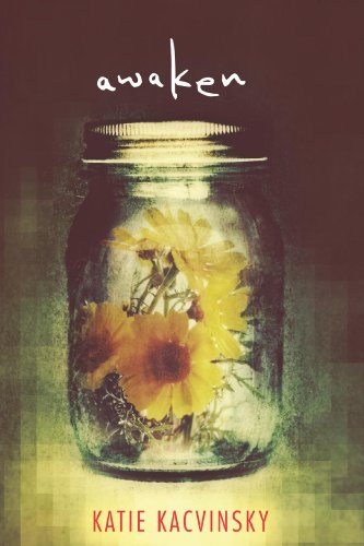 Read Awaken, written by Katie Kacvinsky Read Awaken, written by Katie Kacvinsky