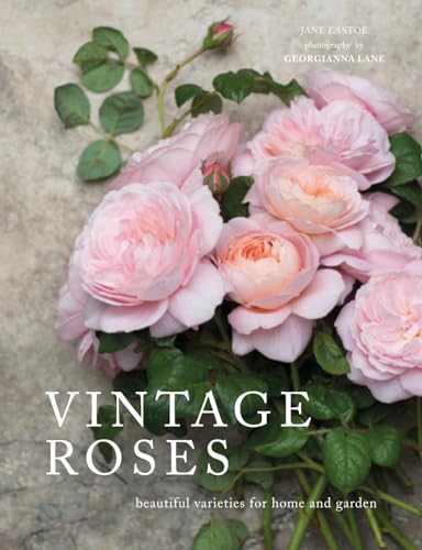 Read Vintage Roses: Beautiful Varieties for Home and Garden (Flowers), written by Jane Eastoe