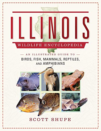 Read Illinois Wildlife Encyclopedia: An Illustrated Guide to Birds, Fish, Mammals, Reptiles, and Amphibians, written by Scott Shupe Read Illinois Wildlife Encyclopedia: An Illustrated Guide to Birds, Fish, Mammals, Reptiles, and Amphibians, written by Scott Shupe