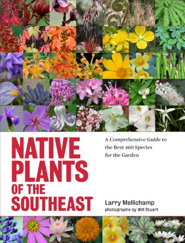 Read Native Plants of the Southeast: A Comprehensive Guide to the Best 460 Species for the Garden, written by Larry Mellichamp
