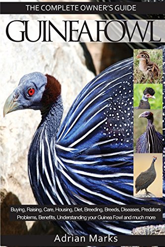 Read Guinea Fowl: The Complete Owners Guide, written by Adrian Marks Read Guinea Fowl: The Complete Owners Guide, written by Adrian Marks