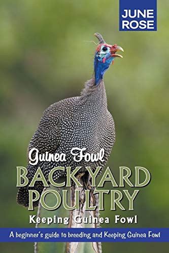 Read Guinea Fowl, Backyard Poultry: Keeping Guinea Fowl, written by June Rose Read Guinea Fowl, Backyard Poultry: Keeping Guinea Fowl, written by June Rose