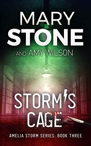 Read Storm's Cage (Amelia Storm FBI Mystery Series Book 3), written by Mary Stone Read Storm's Cage (Amelia Storm FBI Mystery Series Book 3), written by Mary Stone