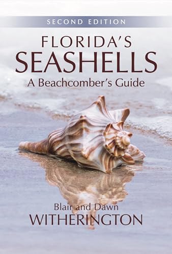 Read Florida's Seashells: A Beachcomber's Guide, written by Blair Witherington Read Florida's Seashells: A Beachcomber's Guide, written by Blair Witherington