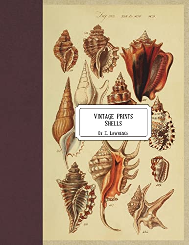 Read Vintage Prints: Shells, written by E. Lawrence Read Vintage Prints: Shells, written by E. Lawrence