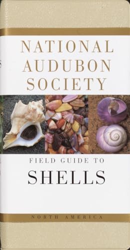 Read National Audubon Society Field Guide to North American Seashells, written by National Audubon Society Read National Audubon Society Field Guide to North American Seashells, written by National Audubon Society