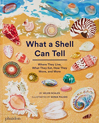 Read What A Shell Can Tell, written by Helen Scales Read What A Shell Can Tell, written by Helen Scales
