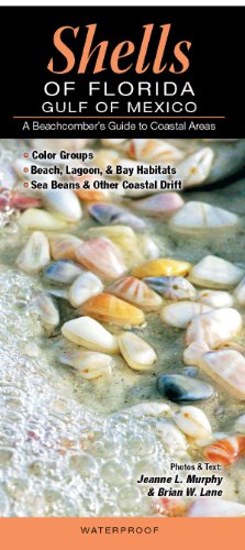 Read Shells of Florida-Gulf of Mexico: A Beachcomber's Guide to Coastal Areas, written by Jeanne L. Murphy and Brian W. Lane