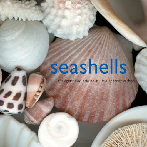 Read Seashells, written by Josie Iselin; Sandy Carlson Read Seashells, written by Josie Iselin; Sandy Carlson