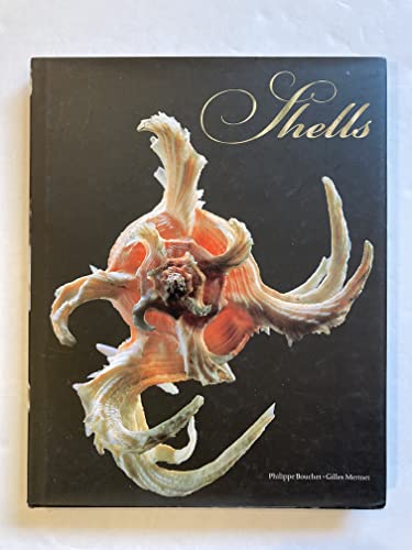 Read Shells, written by Philippe Bouchet