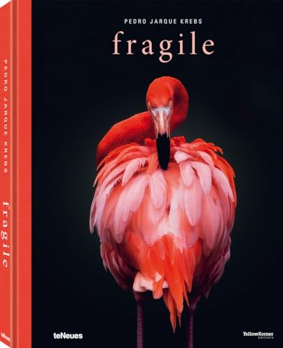Read Fragile, written by Pedro Jarque Krebs Read Fragile, written by Pedro Jarque Krebs