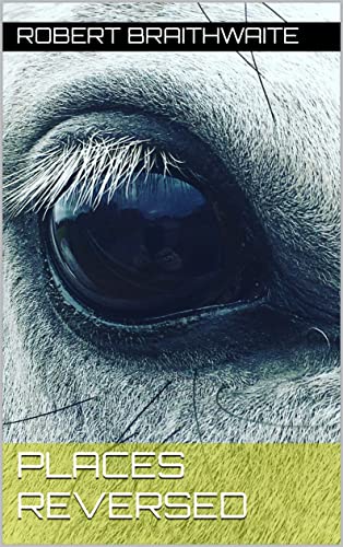 Read Places Reversed, written by Robert Braithwaite Read Places Reversed, written by Robert Braithwaite