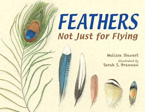 Read Feathers: Not Just for Flying, written by Melissa Stewart Read Feathers: Not Just for Flying, written by Melissa Stewart