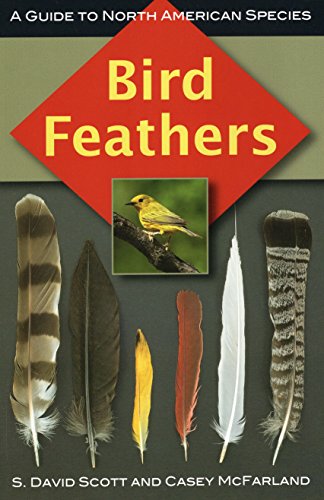 Read Bird Feathers: A Guide to North American Species, written by S. David Scott; Casey McFarland Read Bird Feathers: A Guide to North American Species, written by S. David Scott; Casey McFarland